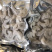 活剥大虾仁新鲜虾仁青虾仁去虾线虾仁新鲜速冻发货