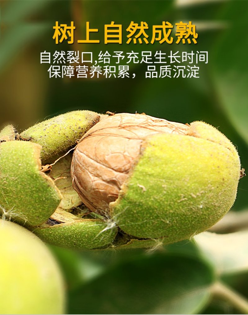 农伯惠云商直供20元3斤火爆模式赶大集跑江湖会展地摊干果
