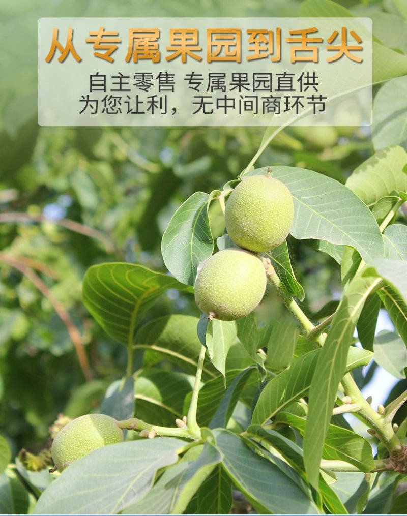 农伯惠云商直供20元3斤火爆模式赶大集跑江湖会展地摊干果