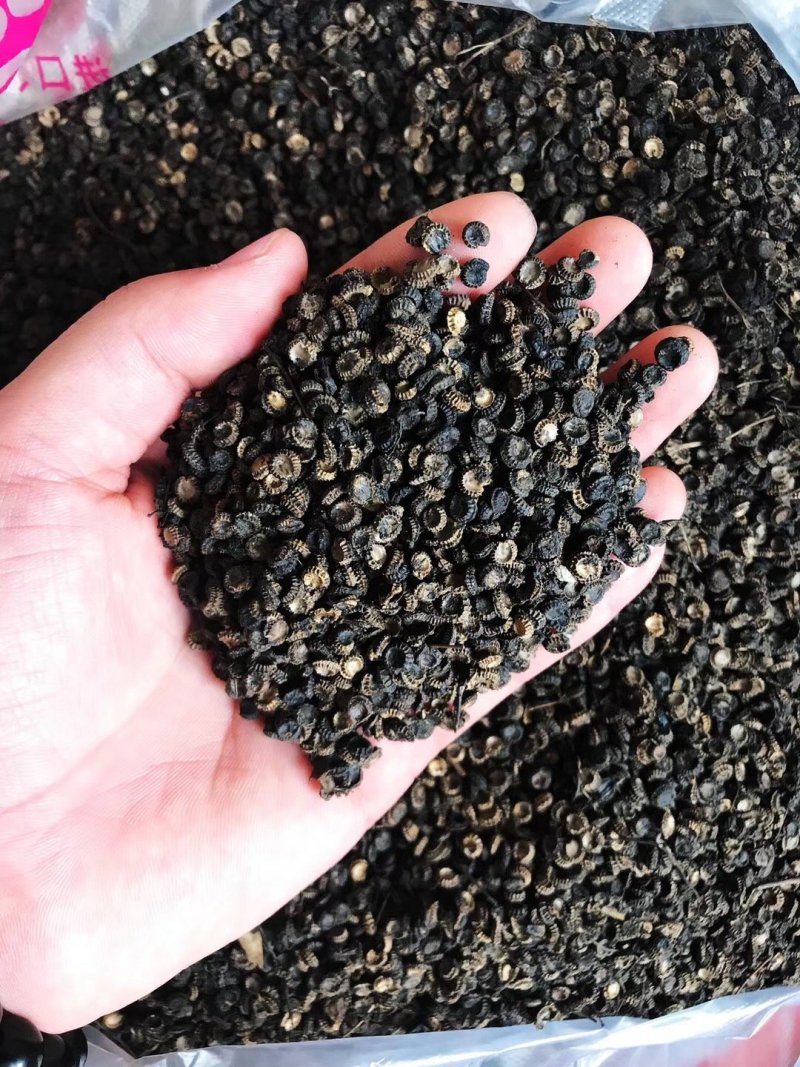 江西正宗粉防己多年种植经验粉防己