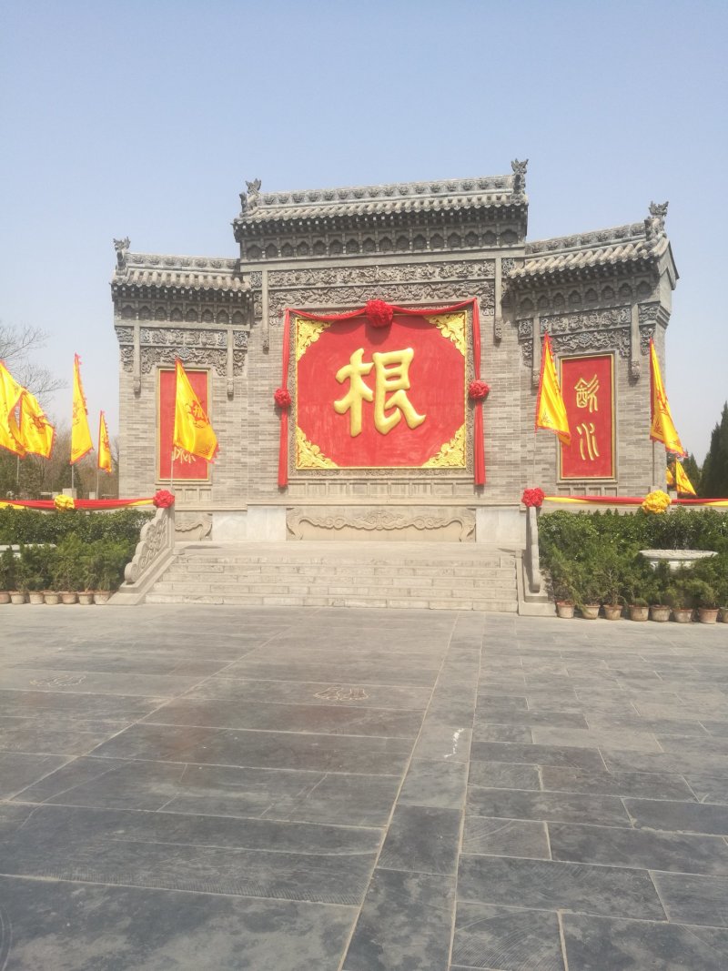 大量供应各种规格广玉兰白玉兰紫玉兰欢迎选购