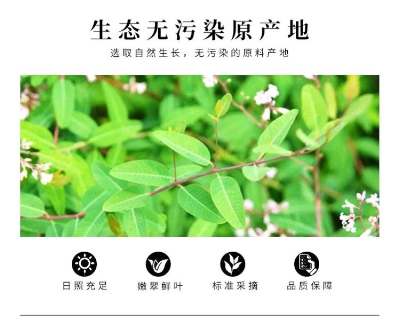 罗布麻茶袋装罗布麻茶茶叶罗布麻一斤26包邮