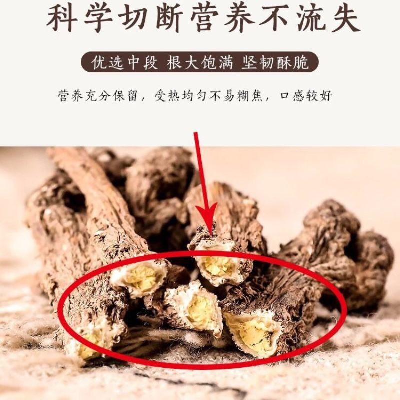 蒲公英大根茶正宗野大根茶天然野生特级婆婆丁根茶养生茶