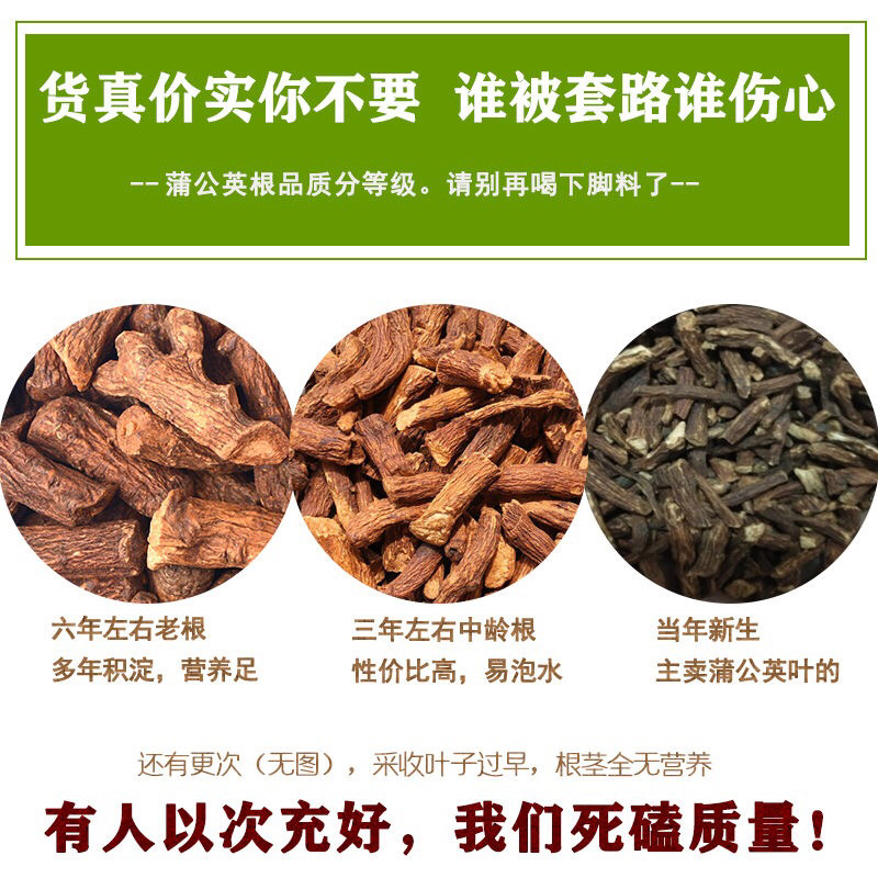 蒲公英大根茶正宗野大根茶天然野生特级婆婆丁根茶养生茶