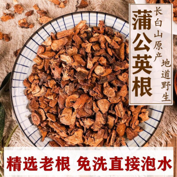 蒲公英大根茶正宗野大根茶天然野生特级婆婆丁根茶养生茶