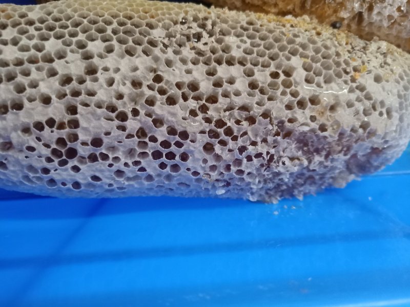 云南普洱小挂蜜也叫草蜂蜜_带巢带树枝发货_上市中