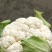 花菜大量上市。