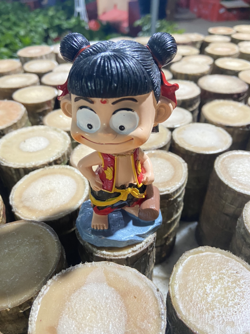 巴西木盆栽水养迷你室内桌面绿植四季常青格鲁特水培植物