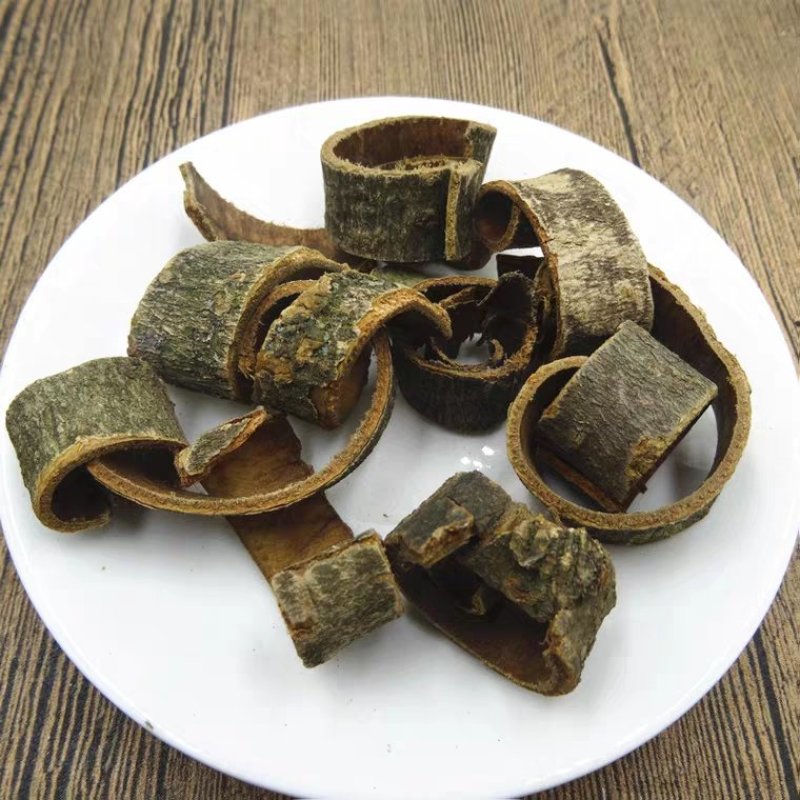 中药材厚朴川厚朴浙厚朴