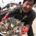 连云港深海螃蟹梭子蟹冰鲜货新鲜速冻梭子蟹