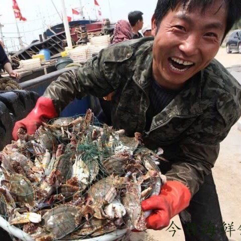 连云港深海螃蟹梭子蟹冰鲜货新鲜速冻梭子蟹