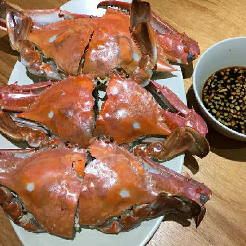 连云港深海螃蟹梭子蟹冰鲜货新鲜速冻梭子蟹