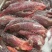 驴肉请选购优质驴肉马肉板肠下水
