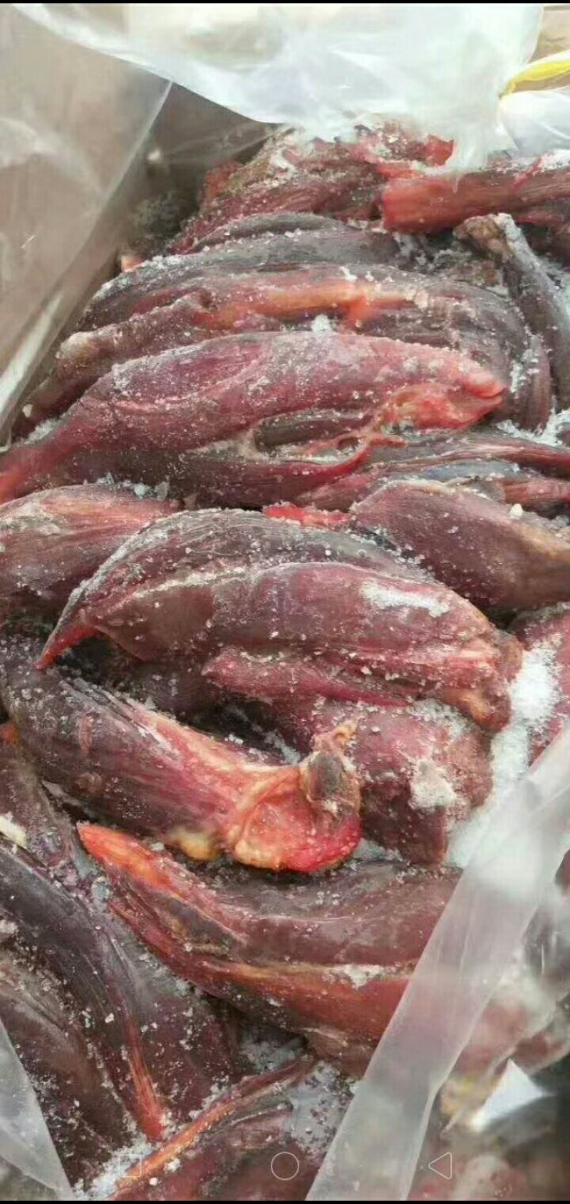 驴肉请选购优质驴肉马肉板肠下水