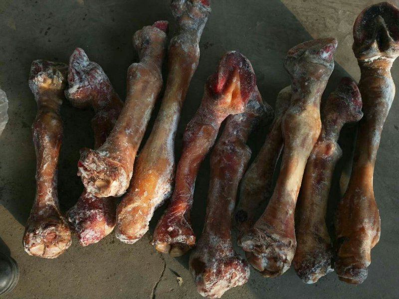 驴肉请选购优质驴肉马肉板肠下水