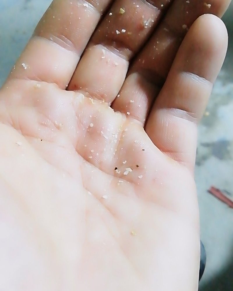 陕西省黄龙县中国核桃之乡，品种香玲核桃，皮薄，有油脂。