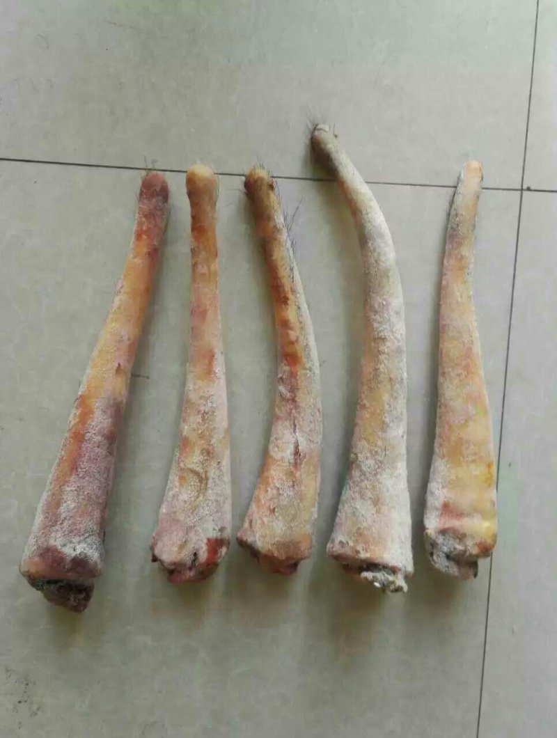 欢迎选购驴肉，马肉产品请选购优质驴肉马肉板肠下水