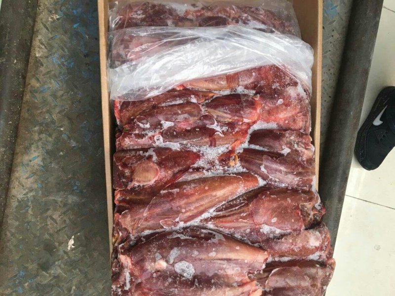 欢迎选购驴肉，马肉产品请选购优质驴肉马肉板肠下水