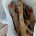 欢迎选购驴肉，马肉产品请选购优质驴肉马肉板肠下水