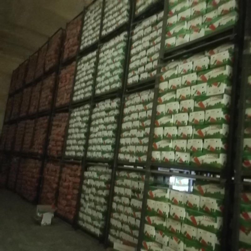 【基地新鲜三红胡萝卜产地直发微电商预售】