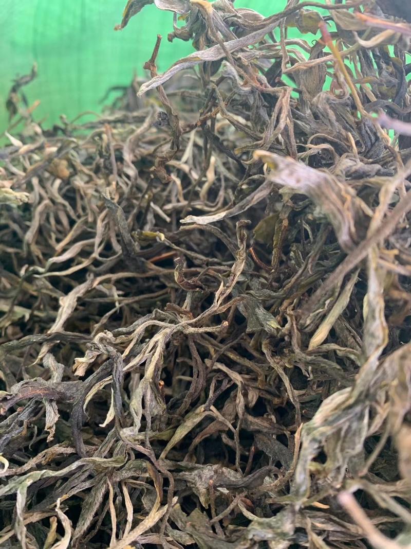 普洱茶—云南临沧古树中树茶（大雪山有机生态茶）古树珍藏品