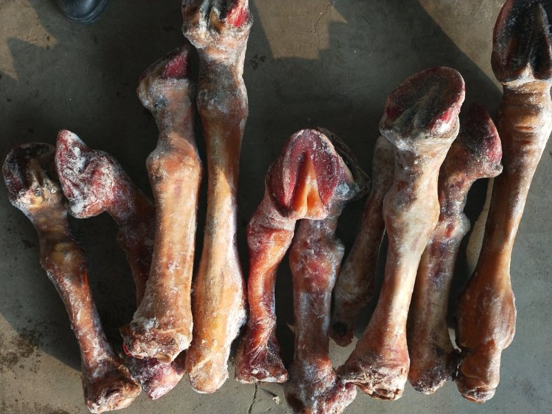驴肉请选购优质驴肉马肉板肠驴下水