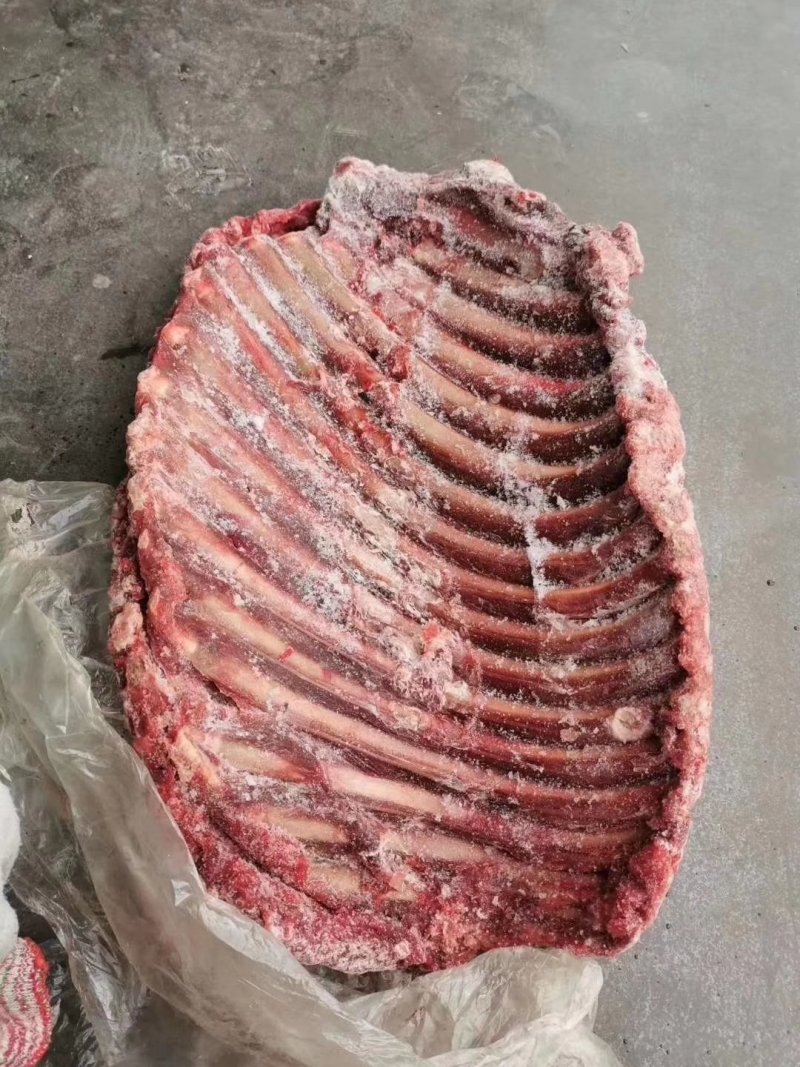 驴肉请选购优质驴肉马肉板肠