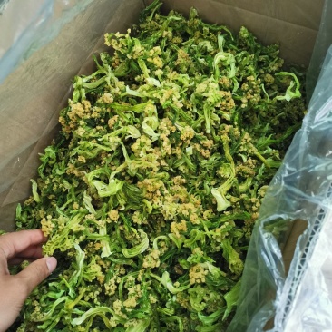 菜花干2022年春季新花菜干鲜嫩可口量大从优
