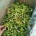 菜花干2022年春季新花菜干鲜嫩可口量大从优
