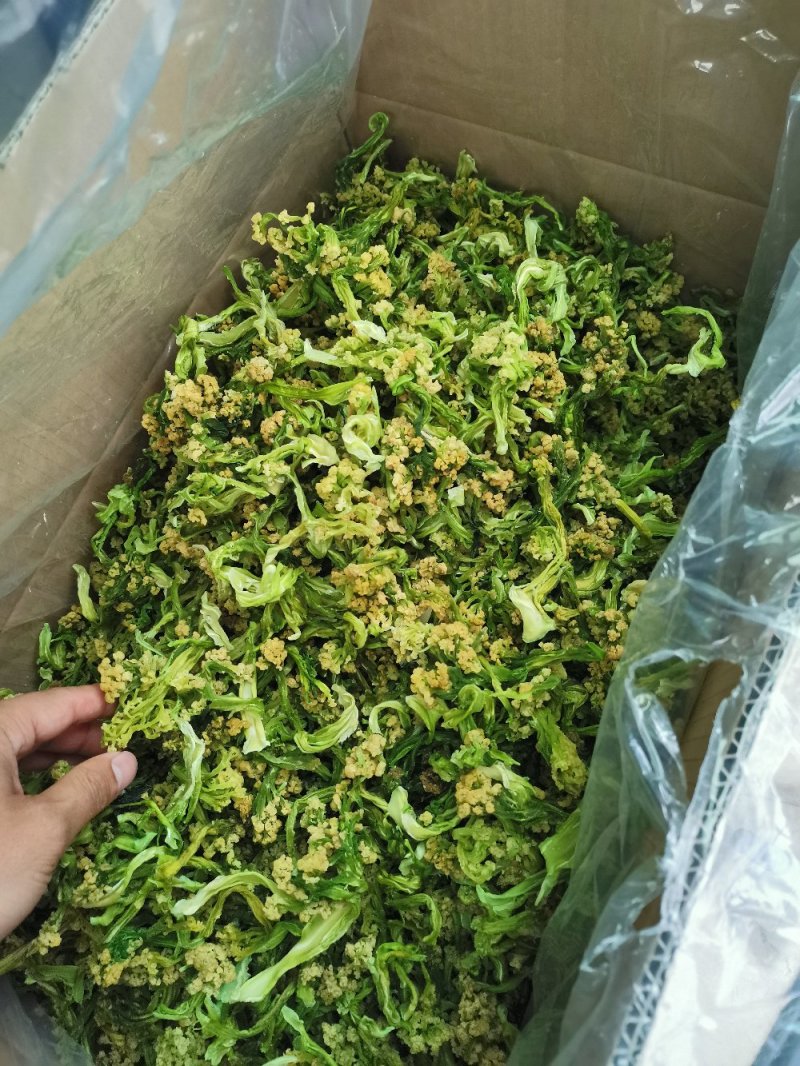 菜花干2022年春季新花菜干鲜嫩可口量大从优