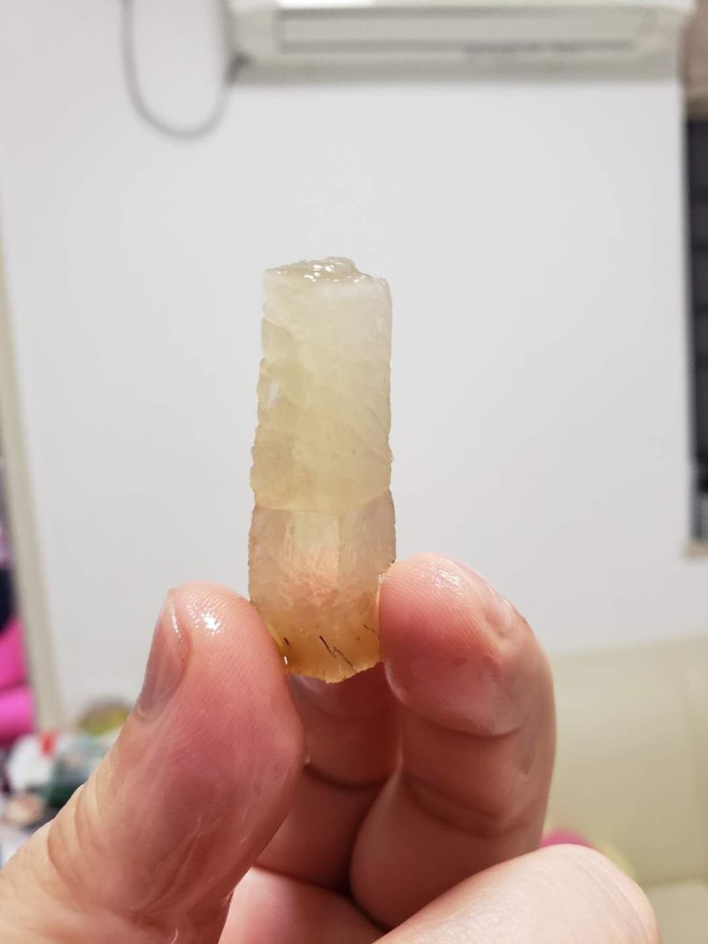 博根乌金猪诚征长期合作老铁/乌蒙山黑猪/土黑猪