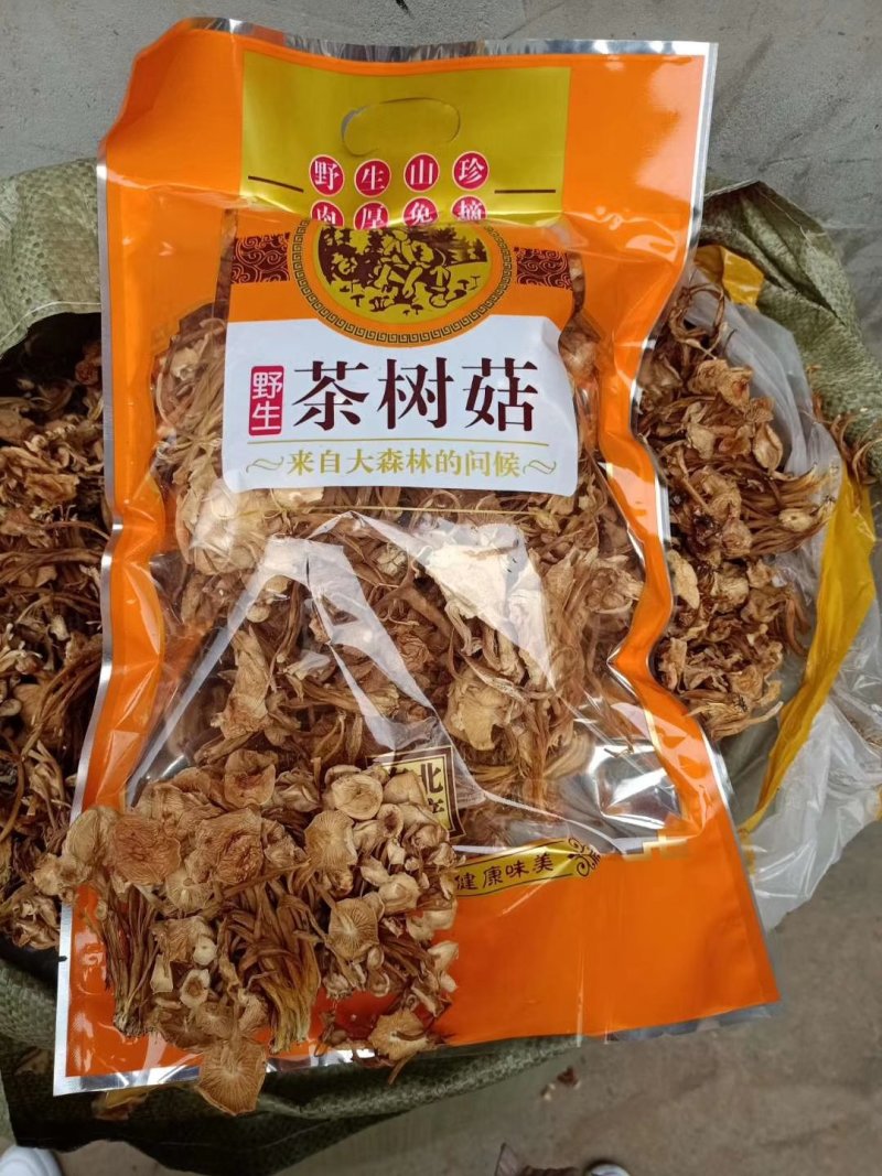 地摊热卖批发茶树菇，江湖地摊暴利产品，地摊热卖资源