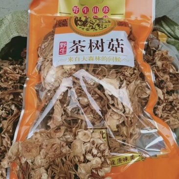 地摊热卖批发茶树菇，江湖地摊暴利产品，地摊热卖资源