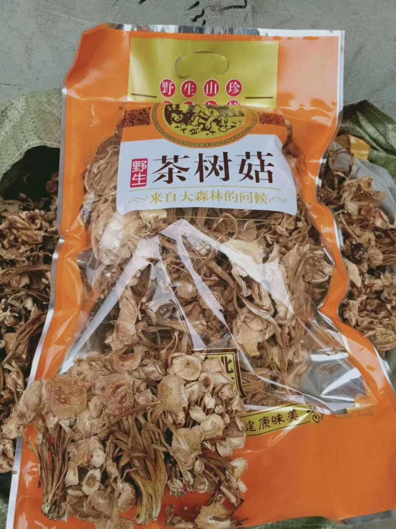 地摊热卖批发茶树菇，江湖地摊暴利产品，地摊热卖资源
