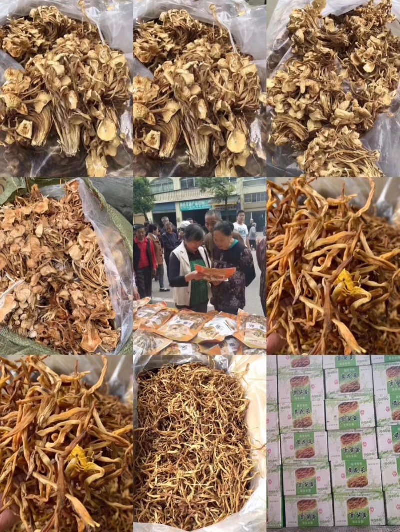 地摊热卖批发茶树菇，江湖地摊暴利产品，地摊热卖资源