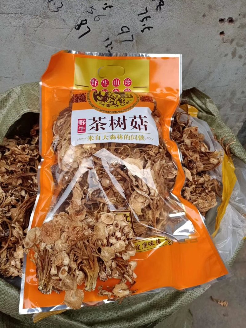 地摊热卖批发茶树菇，江湖地摊暴利产品，地摊热卖资源