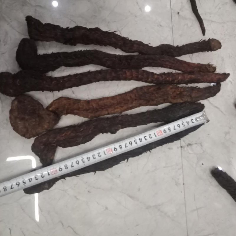 肉苁蓉软油肉苁蓉内蒙阿拉善肉苁蓉产地量大从优