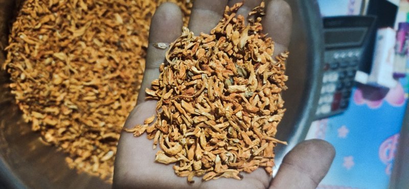 【短草:碎草】虫草素提取，药用打粉【李大人村】产地批发