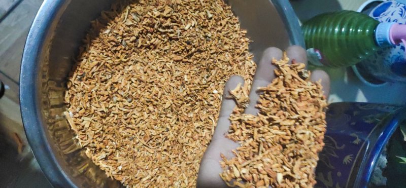 【短草:碎草】虫草素提取，药用打粉【李大人村】产地批发