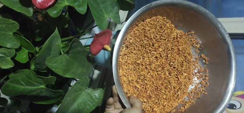 【短草:碎草】虫草素提取，药用打粉【李大人村】产地批发