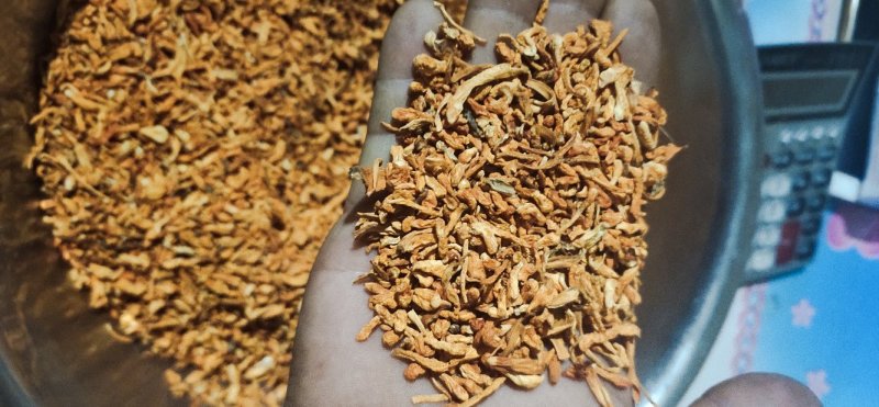 【短草:碎草】虫草素提取，药用打粉【李大人村】产地批发