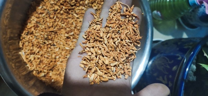 【短草:碎草】虫草素提取，药用打粉【李大人村】产地批发