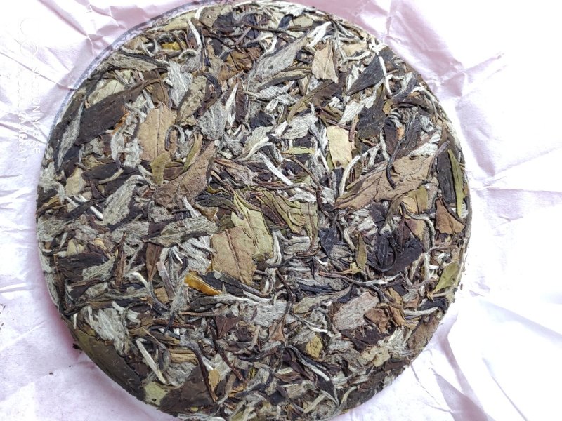 特价特价白茶饼