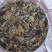 特价特价白茶饼