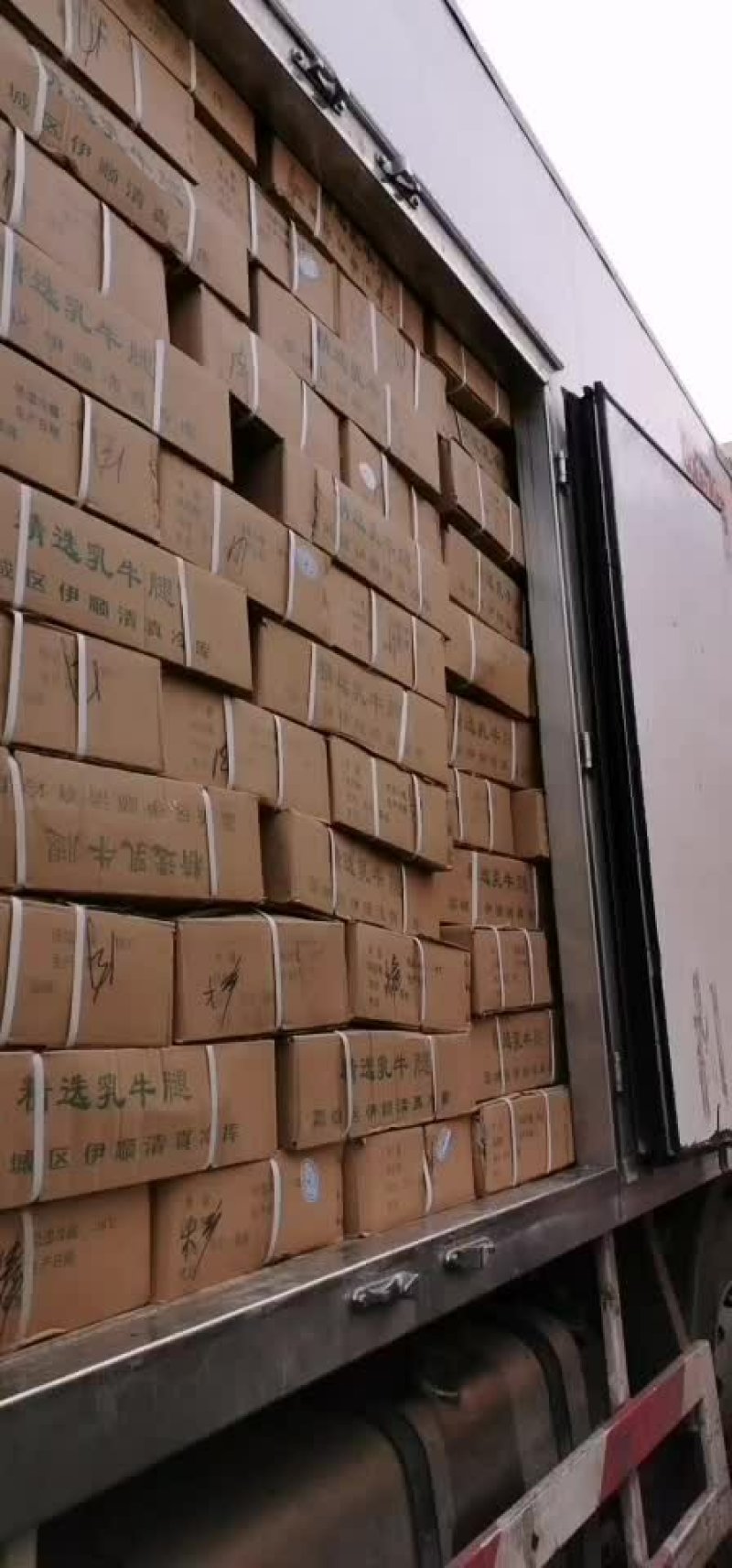 厂家直销乳牛窝骨批发零售价格优惠欢迎下单，牛窝骨