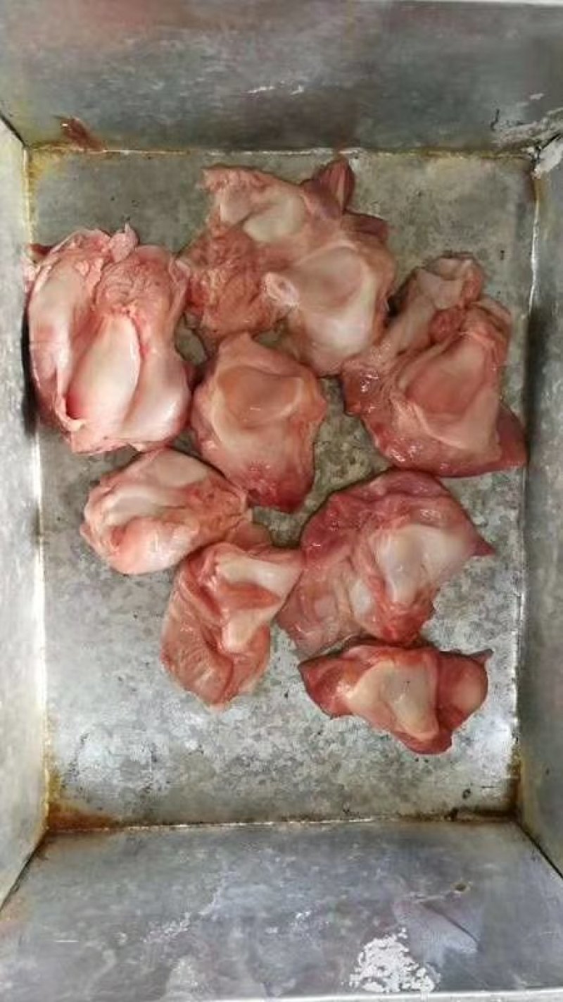厂家直销乳牛窝骨批发零售价格优惠欢迎下单，牛窝骨
