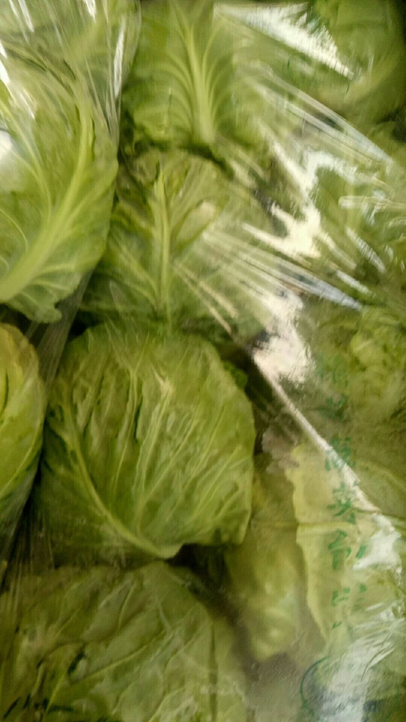 精品甘蓝中甘系列个人软的