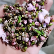 新鲜桃花