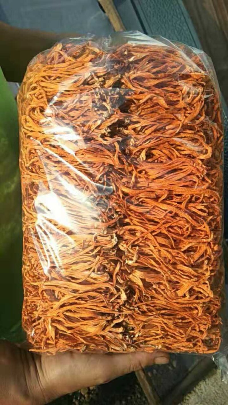 【带头中粗排草】【李大人村】产地批发东北土特产，虫草花