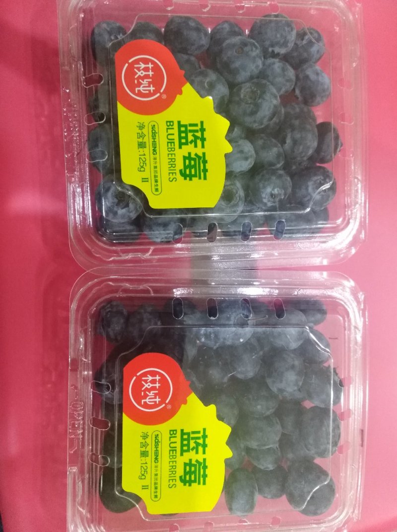 云南省红河州蒙自市岀售蓝莓(鲜果)
